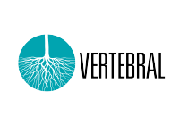 vertebral